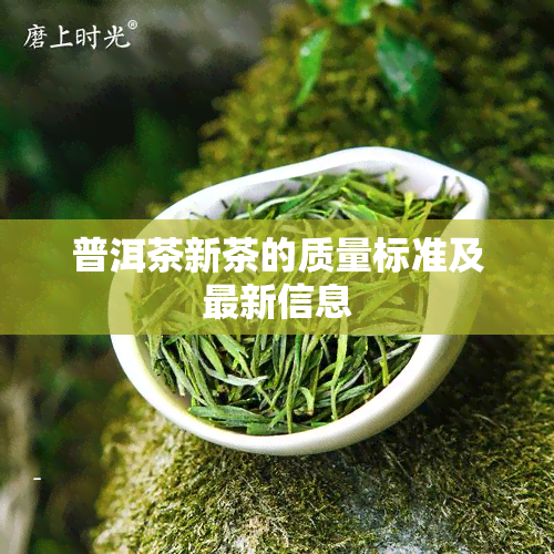 普洱茶新茶的质量标准及最新信息