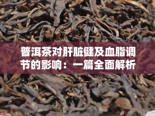 普洱茶对肝脏健及血脂调节的影响：一篇全面解析