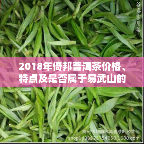 2018年倚邦普洱茶价格、特点及是否属于易武山的探讨