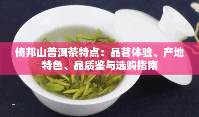 倚邦山普洱茶特点：品茗体验、产地特色、品质鉴与选购指南