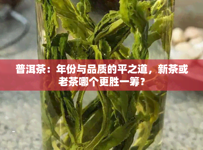 普洱茶：年份与品质的平之道，新茶或老茶哪个更胜一筹？