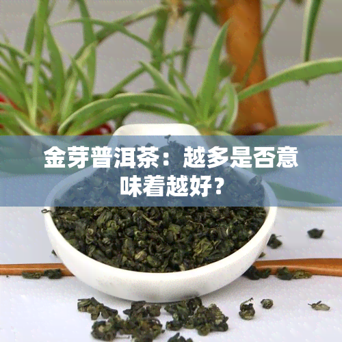 金芽普洱茶：越多是否意味着越好？