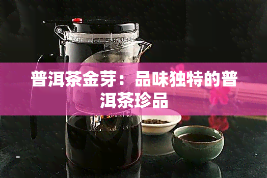 普洱茶金芽：品味独特的普洱茶珍品