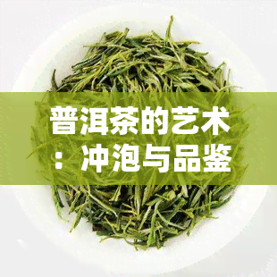 普洱茶的艺术：冲泡与品鉴的完美结合