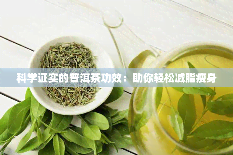 科学证实的普洱茶功效：助你轻松减脂瘦身