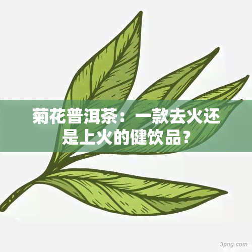 菊花普洱茶：一款去火还是上火的健饮品？