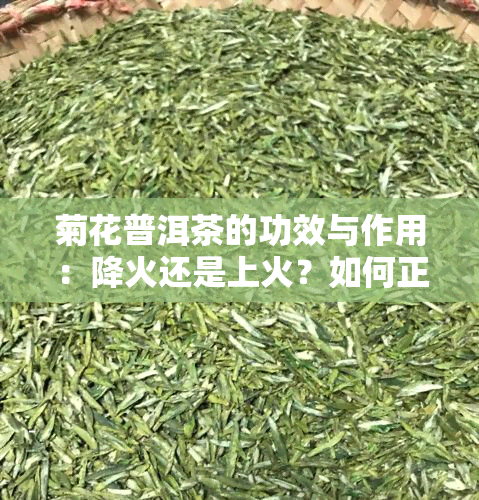 菊花普洱茶的功效与作用：降火还是上火？如何正确饮用以达到效果？