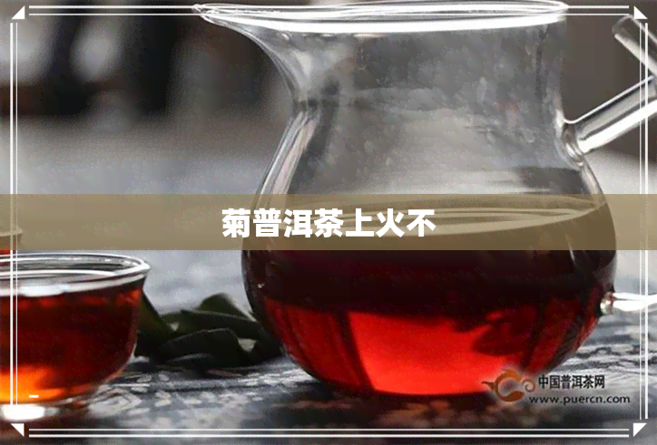 菊普洱茶上火不