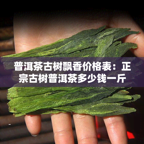 普洱茶古树飘香价格表：正宗古树普洱茶多少钱一斤？