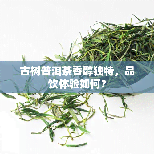 古树普洱茶香醇独特，品饮体验如何？