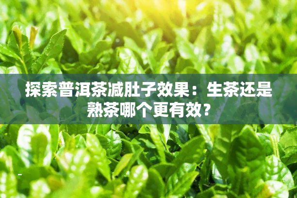 探索普洱茶减肚子效果：生茶还是熟茶哪个更有效？