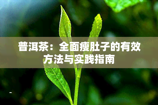 普洱茶：全面瘦肚子的有效方法与实践指南