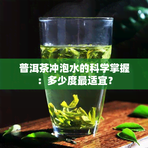 普洱茶冲泡水的科学掌握：多少度最适宜？