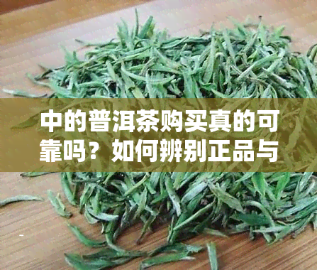 中的普洱茶购买真的可靠吗？如何辨别正品与非正品？