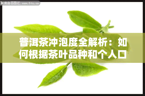 普洱茶冲泡度全解析：如何根据茶叶品种和个人口感调整泡水度？