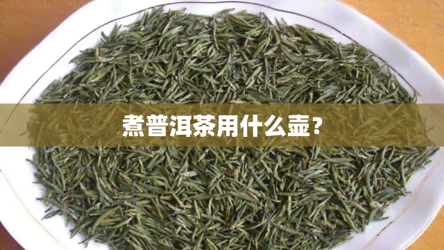 煮普洱茶用什么壶？