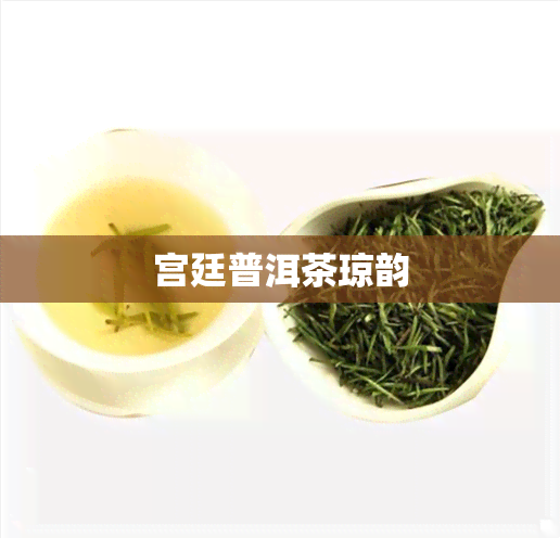 宫廷普洱茶琼韵