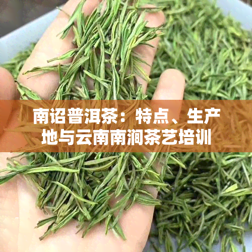 南诏普洱茶：特点、生产地与云南南涧茶艺培训