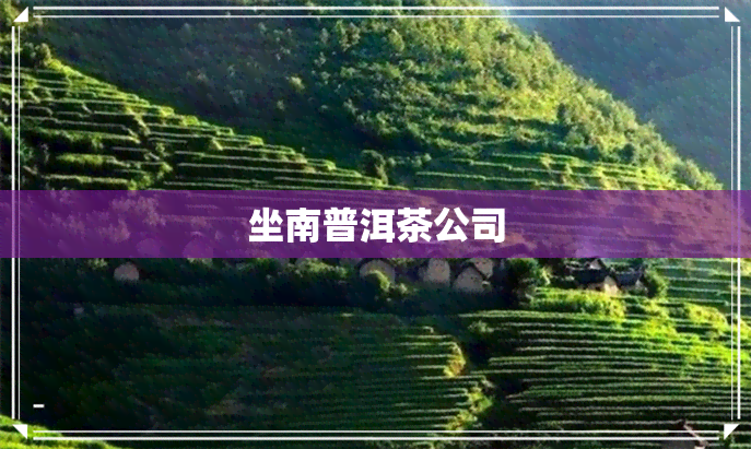 坐南普洱茶公司