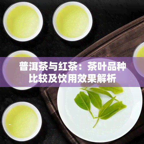 普洱茶与红茶：茶叶品种比较及饮用效果解析