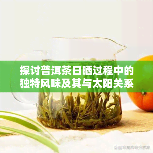 探讨普洱茶日晒过程中的独特风味及其与太阳关系