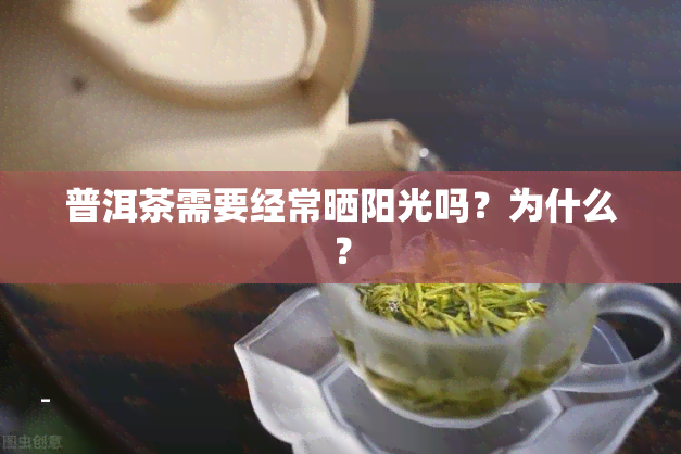 普洱茶需要经常晒阳光吗？为什么？