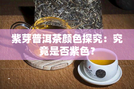 紫芽普洱茶颜色探究：究竟是否紫色？