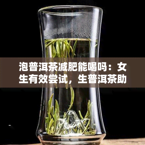 泡普洱茶减肥能喝吗：女生有效尝试，生普洱茶助你消脂瘦身。