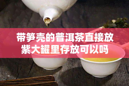 带笋壳的普洱茶直接放紫大罐里存放可以吗