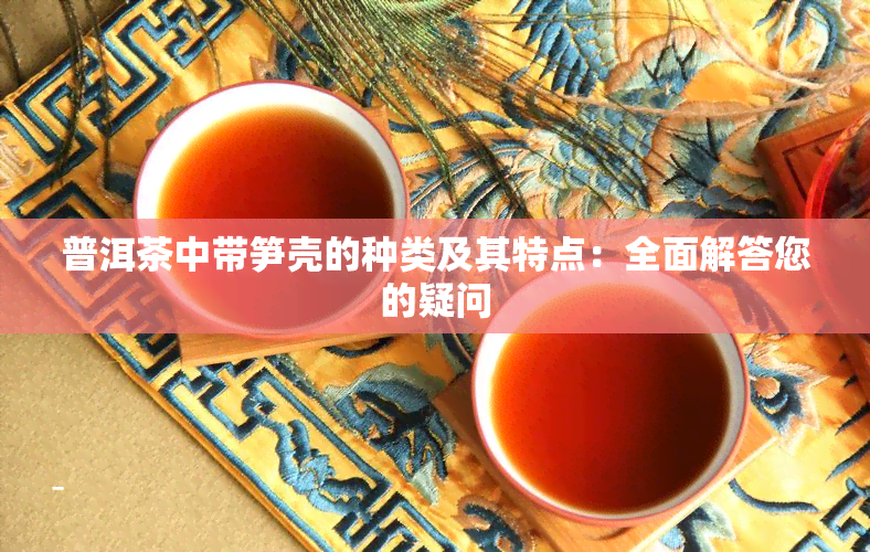 普洱茶中带笋壳的种类及其特点：全面解答您的疑问