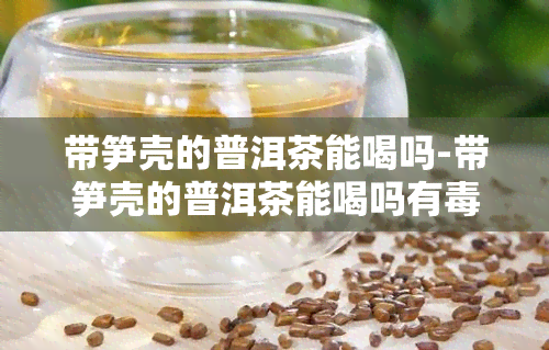 带笋壳的普洱茶能喝吗-带笋壳的普洱茶能喝吗有吗