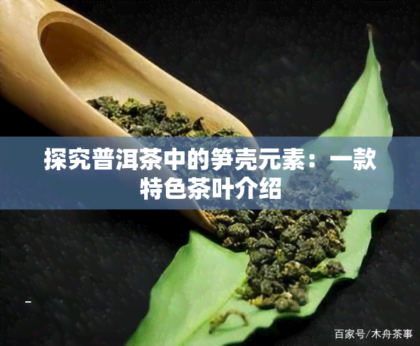 探究普洱茶中的笋壳元素：一款特色茶叶介绍