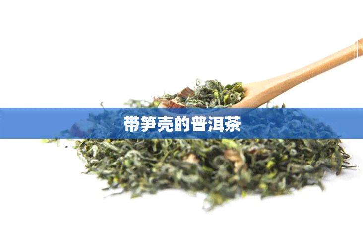 带笋壳的普洱茶