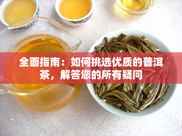 全面指南：如何挑选优质的普洱茶，解答您的所有疑问