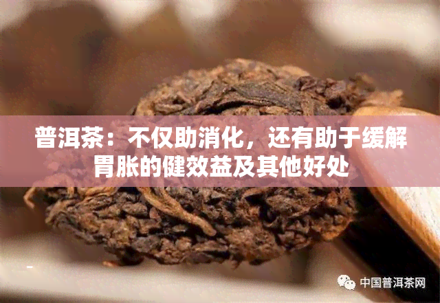 普洱茶：不仅助消化，还有助于缓解胃胀的健效益及其他好处