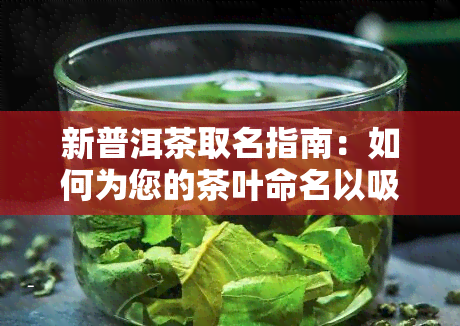 新普洱茶取名指南：如何为您的茶叶命名以吸引更多消费者？