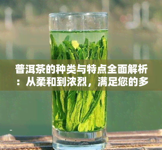 普洱茶的种类与特点全面解析：从柔和到浓烈，满足您的多元饮茶需求