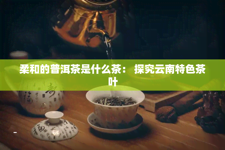 柔和的普洱茶是什么茶： 探究云南特色茶叶