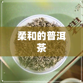 柔和的普洱茶