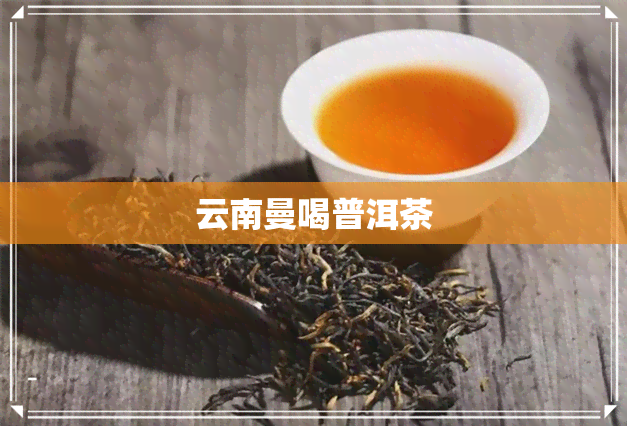 云南曼喝普洱茶