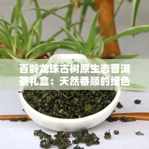 百龄龙珠古树原生态普洱茶礼盒：天然番顺的绿色享受