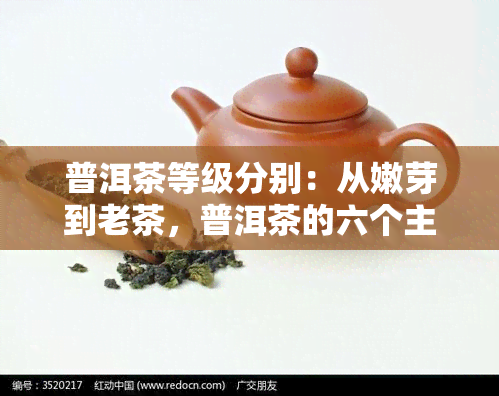 普洱茶等级分别：从嫩芽到老茶，普洱茶的六个主要等级及其特点。