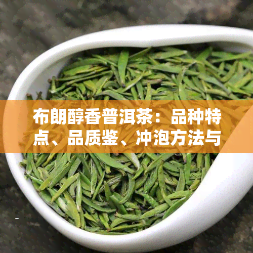 布朗醇香普洱茶：品种特点、品质鉴、冲泡方法与收藏技巧一站式解答