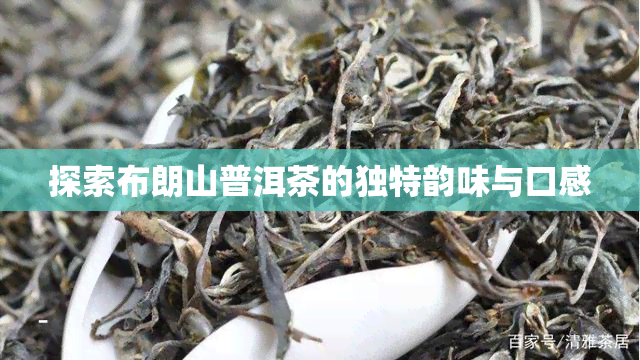 探索布朗山普洱茶的独特韵味与口感