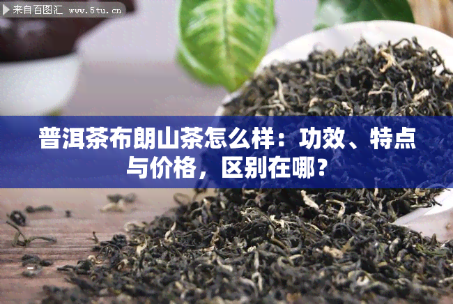 普洱茶布朗山茶怎么样：功效、特点与价格，区别在哪？