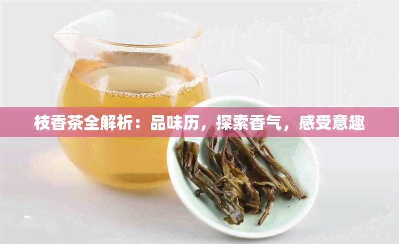 枝香茶全解析：品味历，探索香气，感受意趣