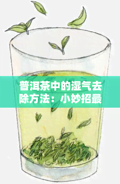 普洱茶中的湿气去除方法：小妙招最有效，请分享你的做法。