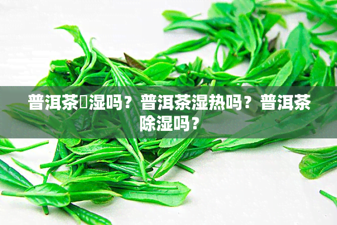 普洱茶袪湿吗？普洱茶湿热吗？普洱茶除湿吗？