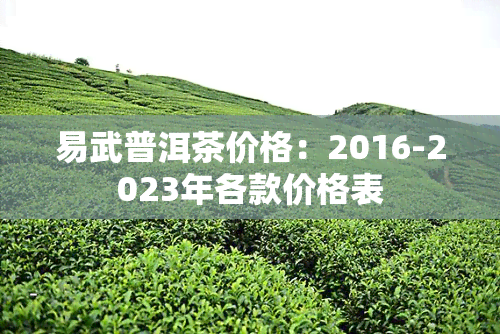 易武普洱茶价格：2016-2023年各款价格表