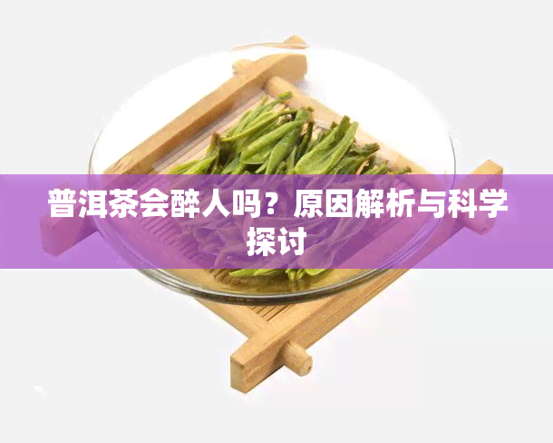 普洱茶会醉人吗？原因解析与科学探讨